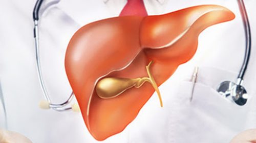 All the Liver Disorders