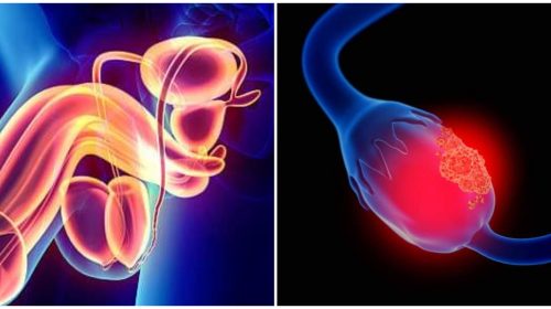 {"fte_image_ids":[],"remix_data":[],"origin":"/storage/emulated/0/Android/data/com.picsart.studio/cache/free_style.jpg","total_draw_time":0,"total_draw_actions":0,"layers_used":0,"brushes_used":0,"total_editor_time":4,"total_editor_actions":{},"photos_added":0,"tools_used":{},"longitude":-1,"latitude":-1,"is_sticker":false,"edited_since_last_sticker_save":false,"containsFTESticker":false}